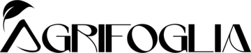 Agrifoglia