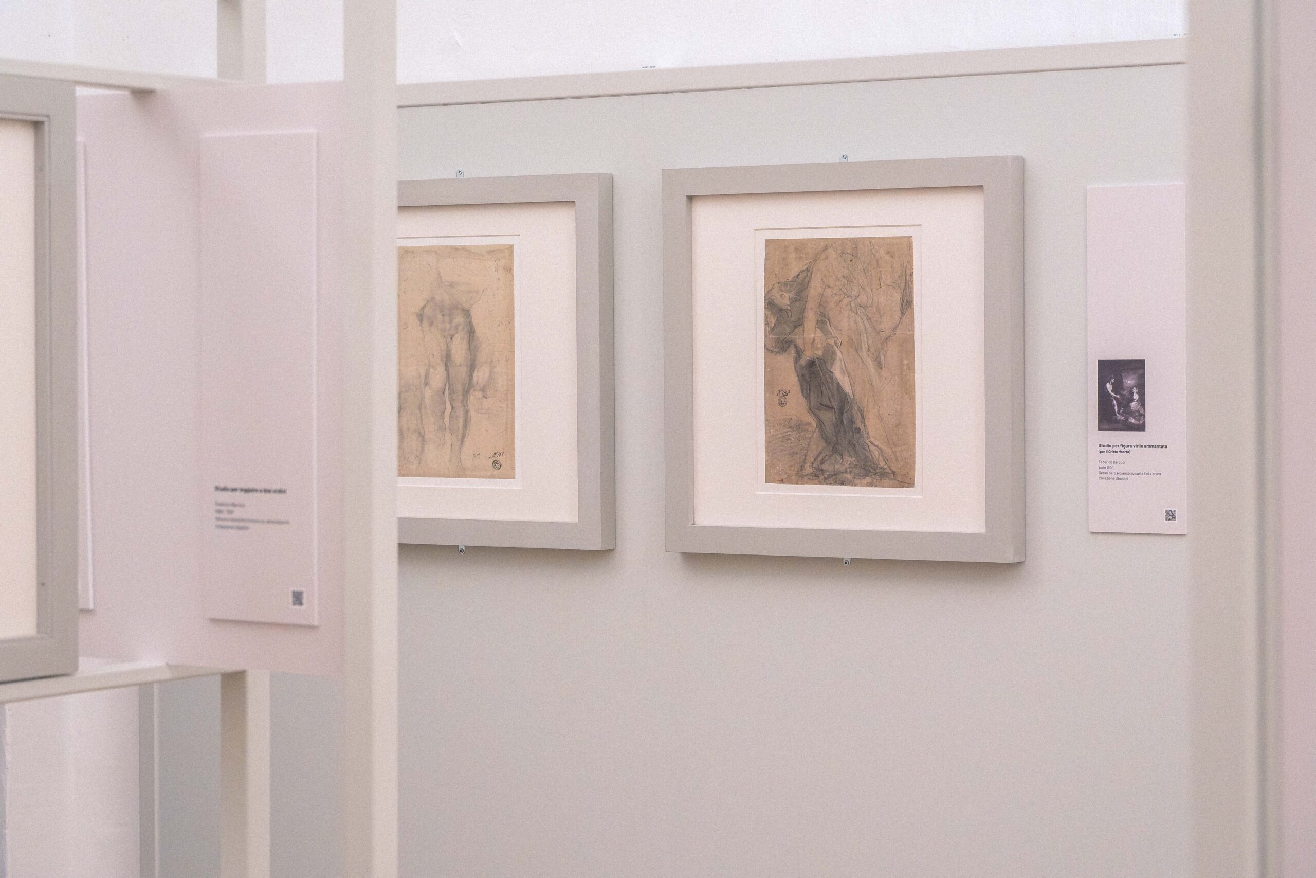 Mostra Federico Barocci — Musei Civici Urbania